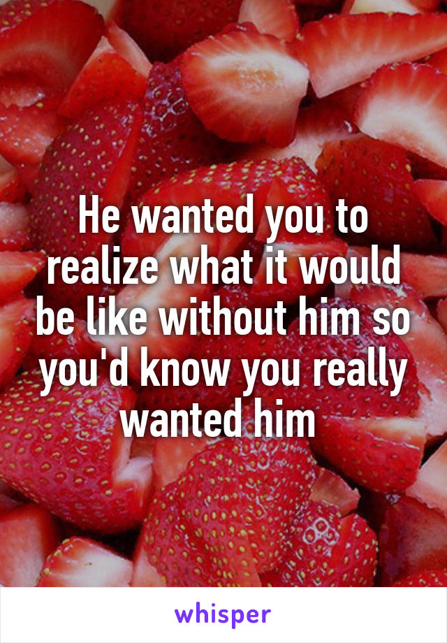 He wanted you to realize what it would be like without him so you'd know you really wanted him 