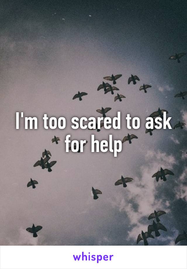 I'm too scared to ask for help