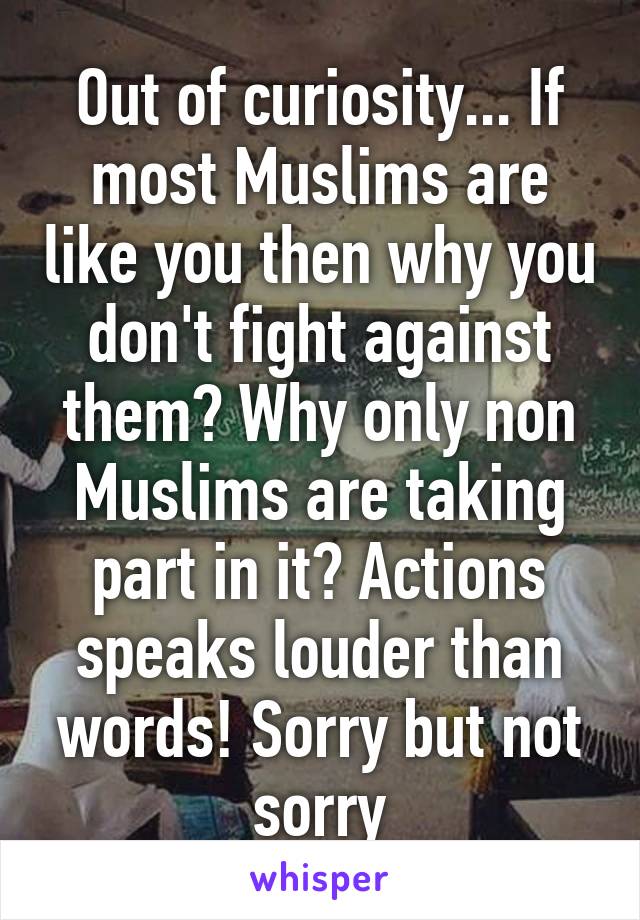 Out of curiosity... If most Muslims are like you then why you don't fight against them? Why only non Muslims are taking part in it? Actions speaks louder than words! Sorry but not sorry