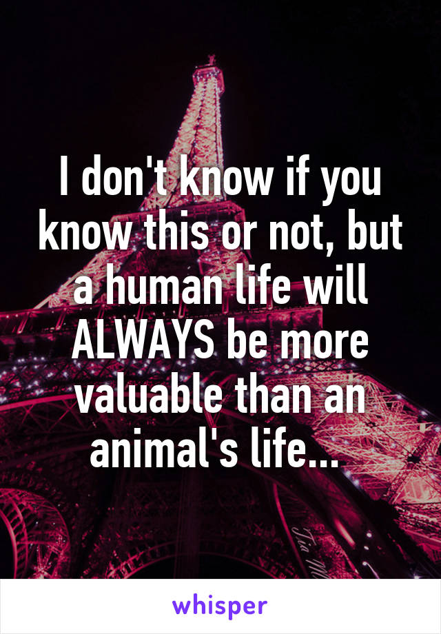 I don't know if you know this or not, but a human life will ALWAYS be more valuable than an animal's life... 