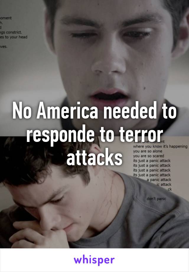 No America needed to responde to terror attacks