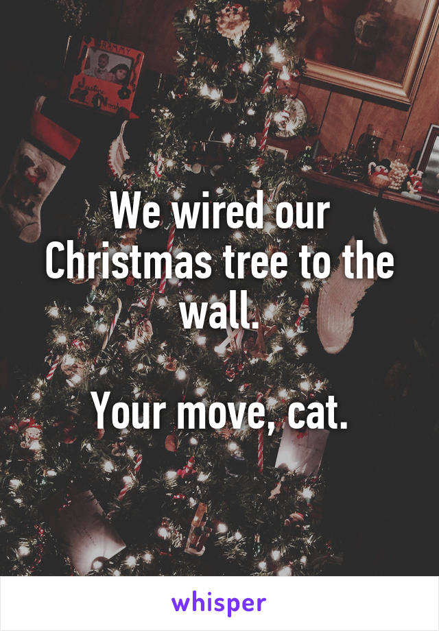 We wired our Christmas tree to the wall.

Your move, cat.