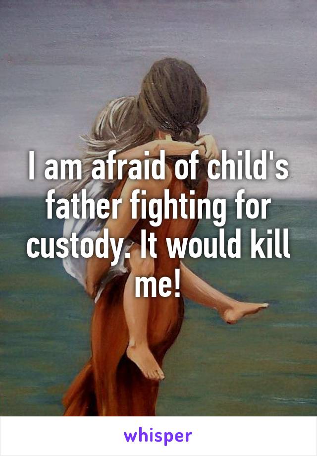 I am afraid of child's father fighting for custody. It would kill me!