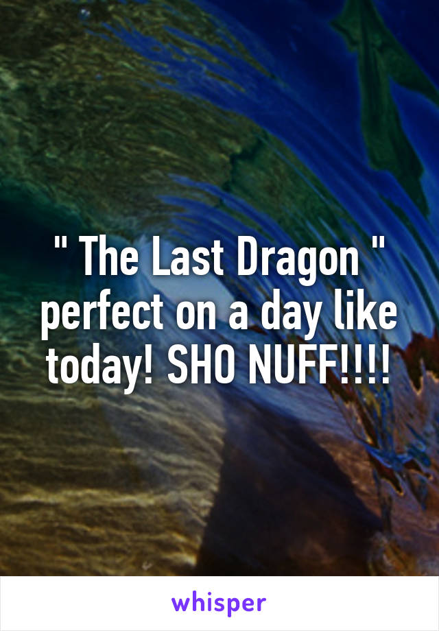 " The Last Dragon " perfect on a day like today! SHO NUFF!!!!