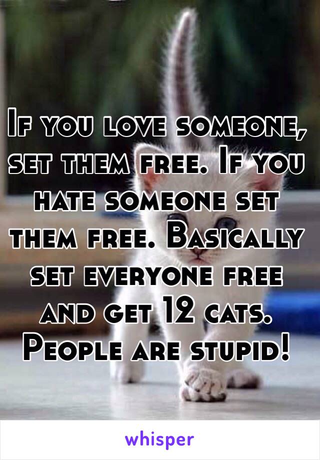 If you love someone, set them free. If you hate someone set them free. Basically set everyone free and get 12 cats. People are stupid!