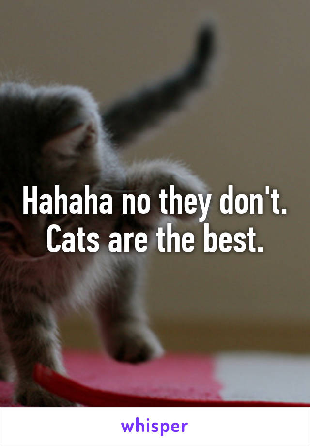 Hahaha no they don't.
Cats are the best.