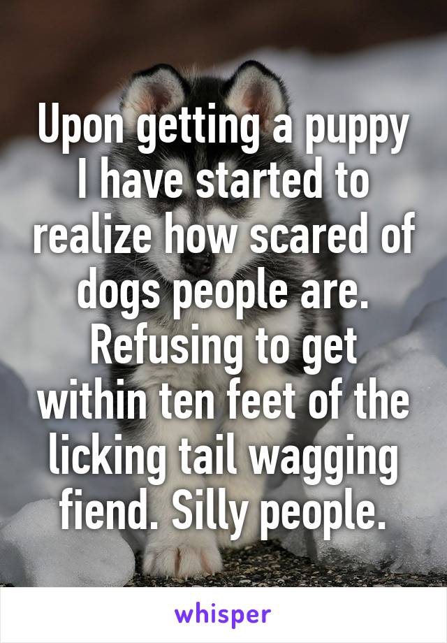 Upon getting a puppy I have started to realize how scared of dogs people are. Refusing to get within ten feet of the licking tail wagging fiend. Silly people.