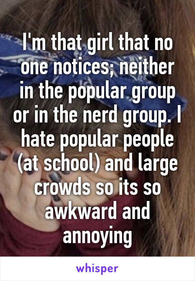 I'm that girl that no one notices; neither in the popular group or in the nerd group. I hate popular people (at school) and large crowds so its so awkward and annoying