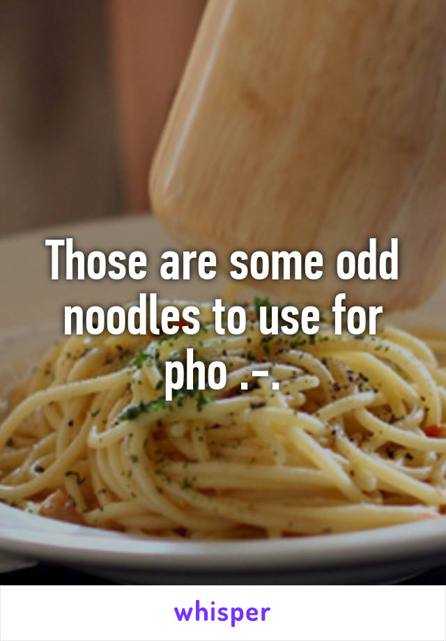 Those are some odd noodles to use for pho .-.