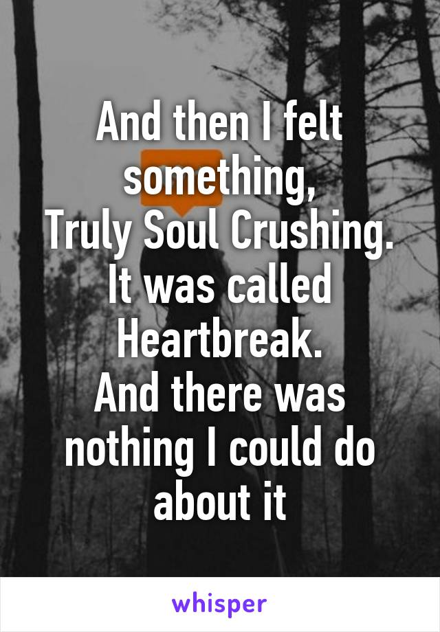 And then I felt something,
Truly Soul Crushing.
It was called Heartbreak.
And there was nothing I could do about it