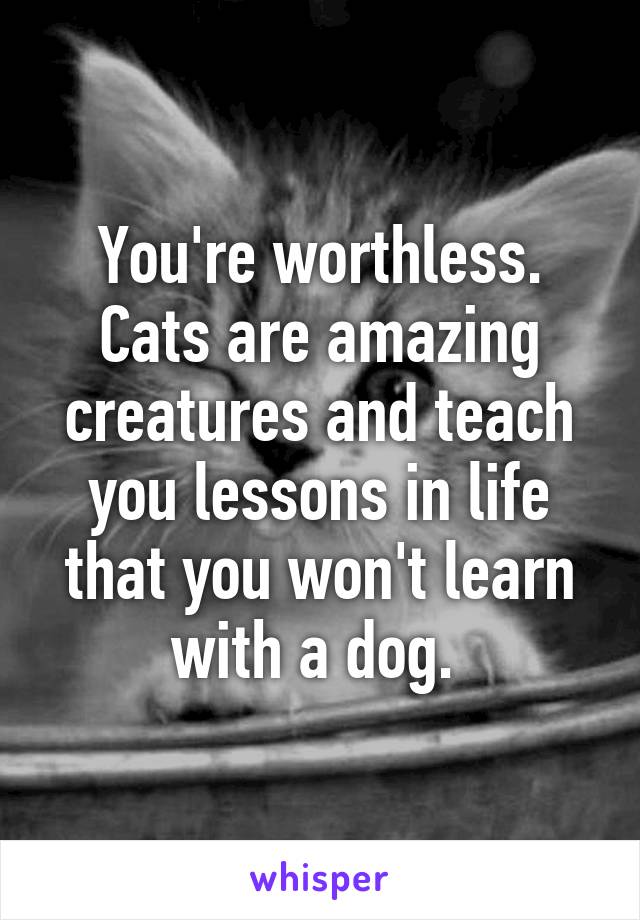 You're worthless. Cats are amazing creatures and teach you lessons in life that you won't learn with a dog. 