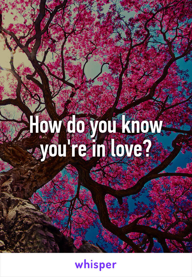 How do you know you're in love?