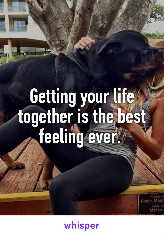 Getting your life together is the best feeling ever. 