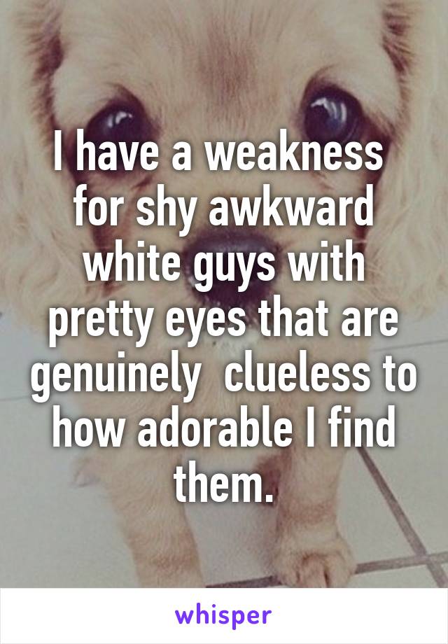 I have a weakness  for shy awkward white guys with pretty eyes that are genuinely  clueless to how adorable I find them.