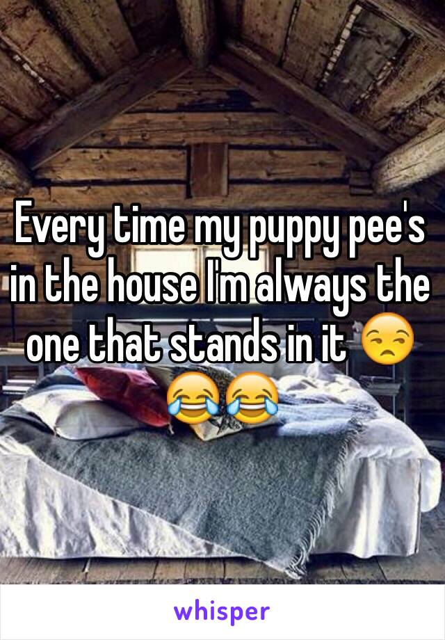 Every time my puppy pee's in the house I'm always the one that stands in it 😒😂😂