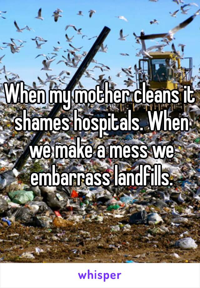 When my mother cleans it shames hospitals. When we make a mess we embarrass landfills.