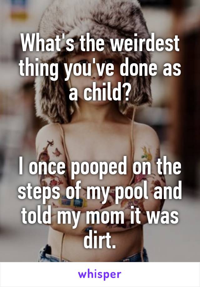 What's the weirdest thing you've done as a child?
 

I once pooped on the steps of my pool and told my mom it was dirt.