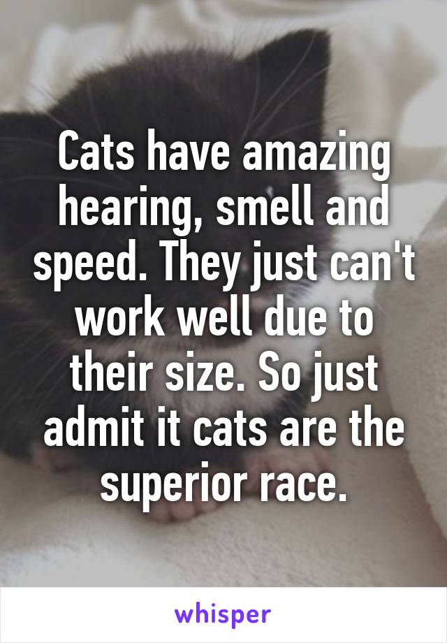 Cats have amazing hearing, smell and speed. They just can't work well due to their size. So just admit it cats are the superior race.