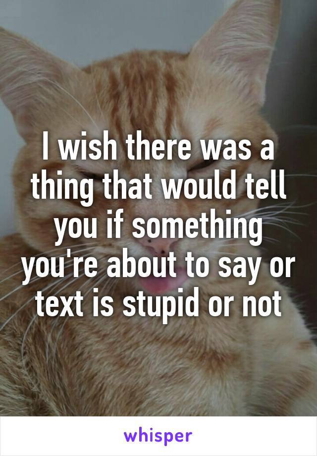 I wish there was a thing that would tell you if something you're about to say or text is stupid or not