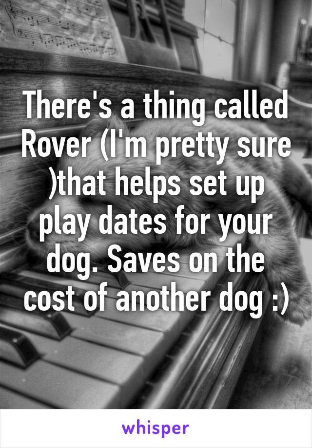 There's a thing called Rover (I'm pretty sure )that helps set up play dates for your dog. Saves on the cost of another dog :) 