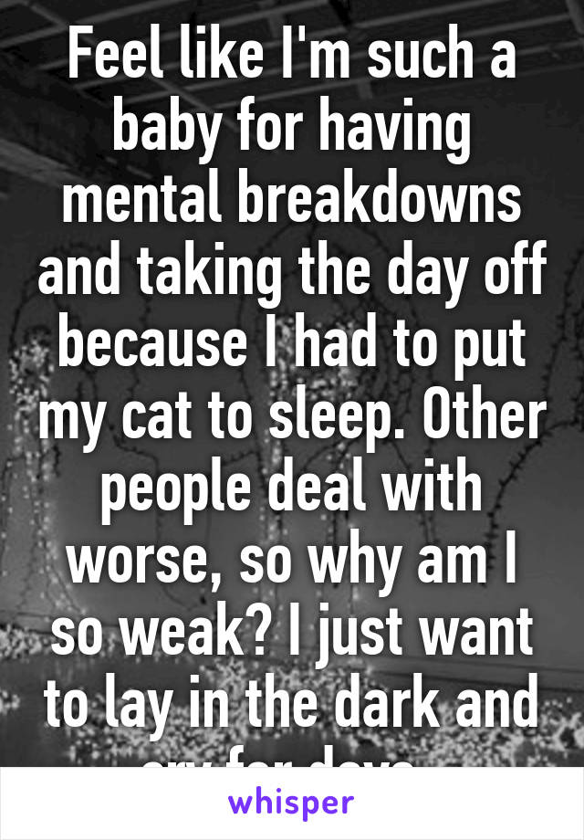 Feel like I'm such a baby for having mental breakdowns and taking the day off because I had to put my cat to sleep. Other people deal with worse, so why am I so weak? I just want to lay in the dark and cry for days. 