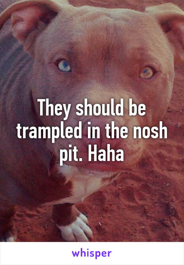 They should be trampled in the nosh pit. Haha