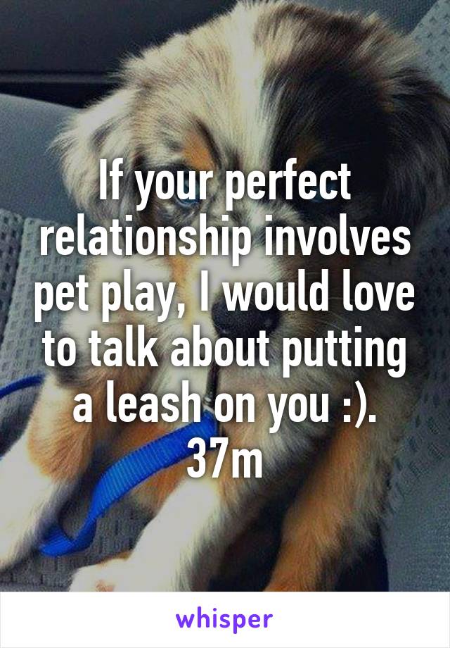 If your perfect relationship involves pet play, I would love to talk about putting a leash on you :). 37m