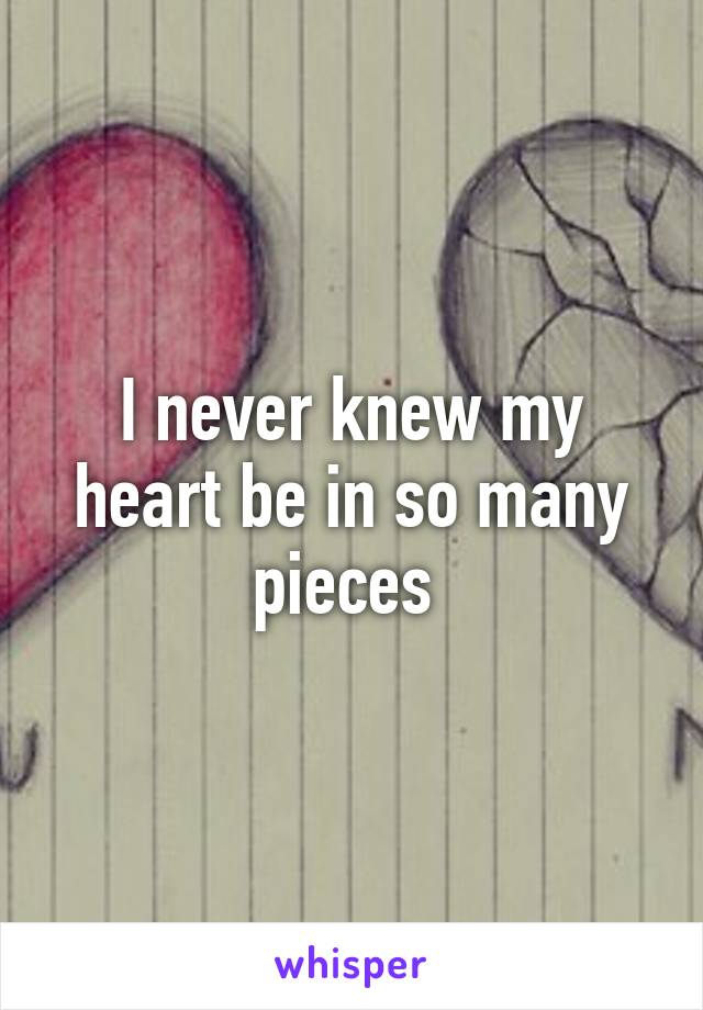 I never knew my heart be in so many pieces 