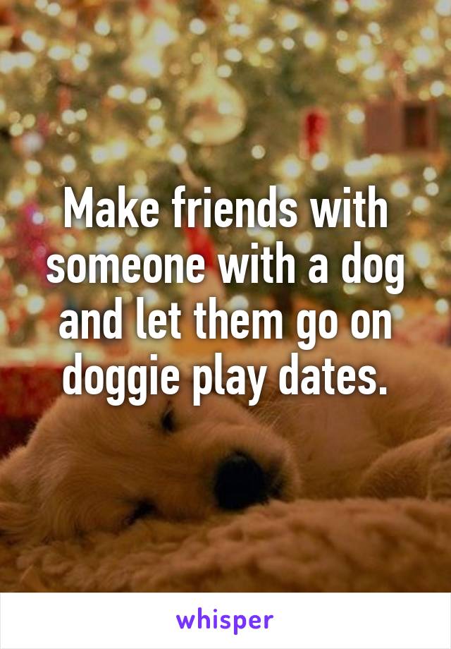 Make friends with someone with a dog and let them go on doggie play dates.
