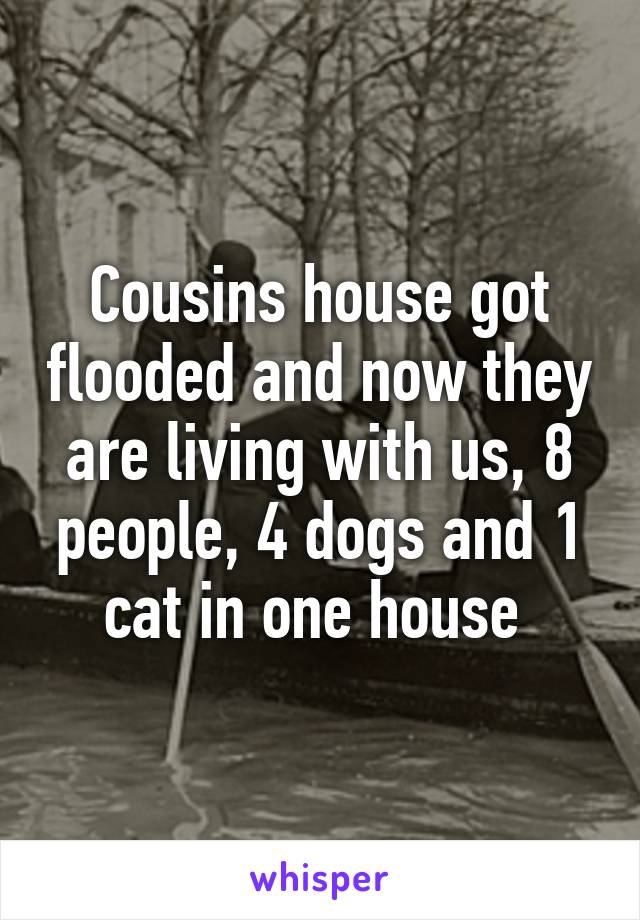 Cousins house got flooded and now they are living with us, 8 people, 4 dogs and 1 cat in one house 