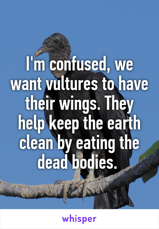 I'm confused, we want vultures to have their wings. They help keep the earth clean by eating the dead bodies. 