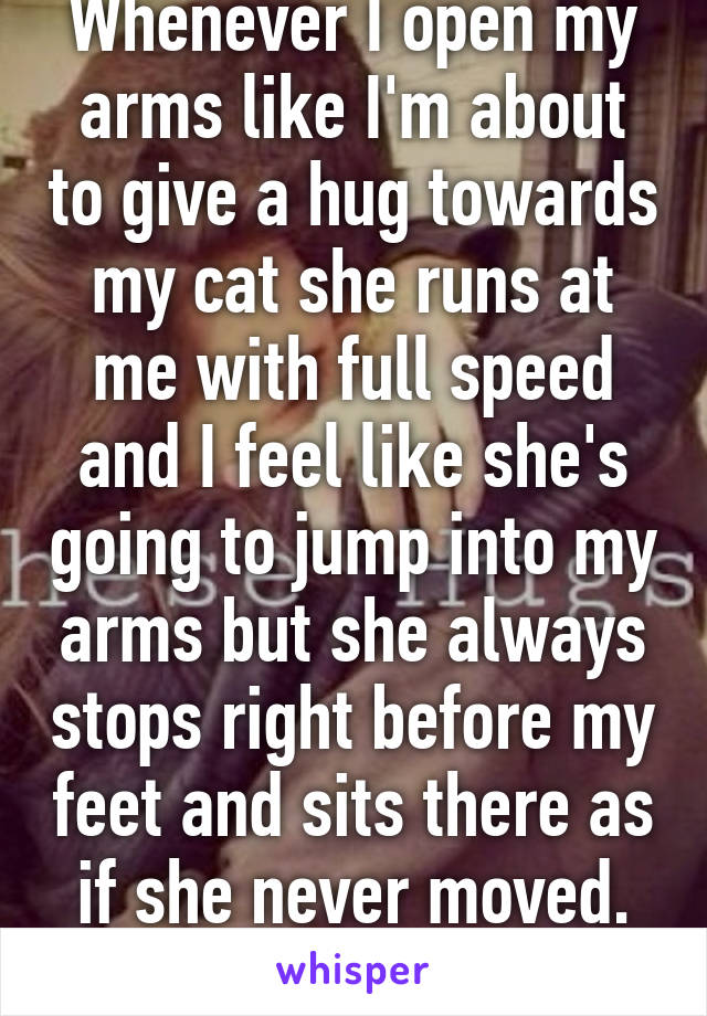 Whenever I open my arms like I'm about to give a hug towards my cat she runs at me with full speed and I feel like she's going to jump into my arms but she always stops right before my feet and sits there as if she never moved. Anticlimactic 