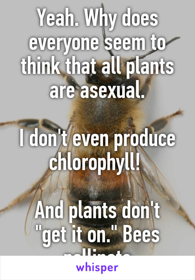 Yeah. Why does everyone seem to think that all plants are asexual.

I don't even produce chlorophyll! 

And plants don't "get it on." Bees pollinate