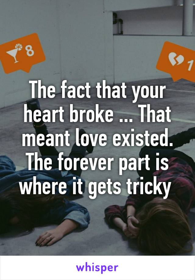 The fact that your heart broke ... That meant love existed. The forever part is where it gets tricky 