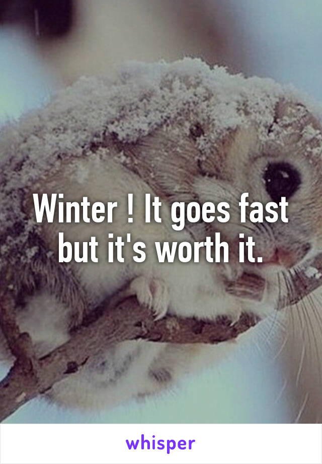 Winter ! It goes fast but it's worth it.