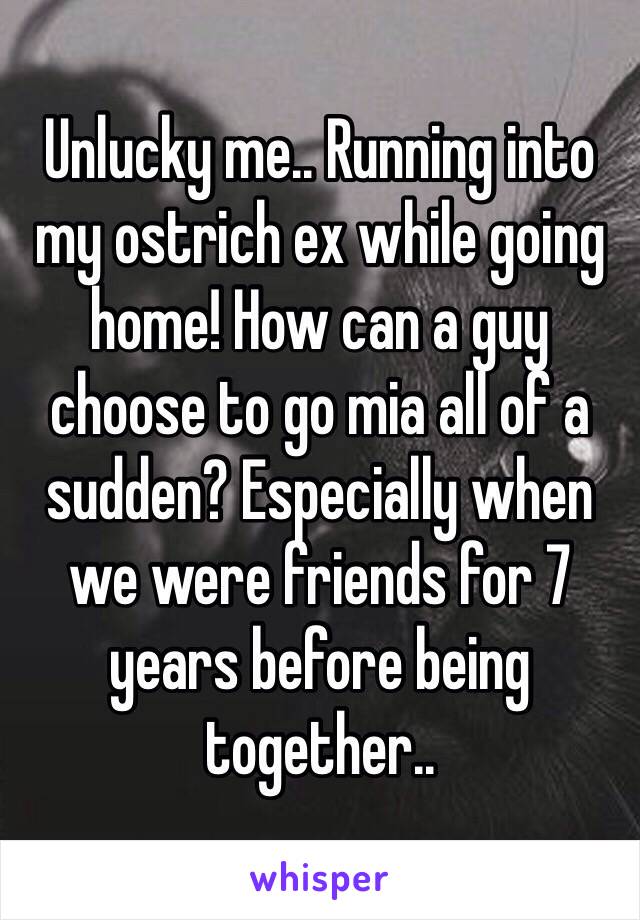 Unlucky me.. Running into my ostrich ex while going home! How can a guy choose to go mia all of a sudden? Especially when we were friends for 7 years before being together..