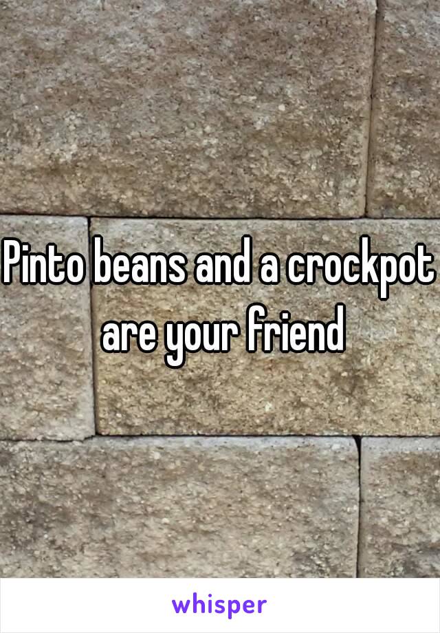 Pinto beans and a crockpot are your friend