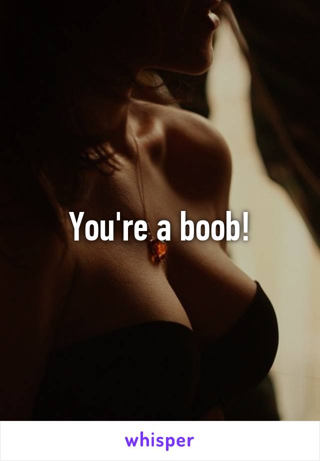 You're a boob!