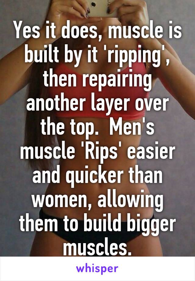 Yes it does, muscle is built by it 'ripping', then repairing another layer over the top.  Men's muscle 'Rips' easier and quicker than women, allowing them to build bigger muscles.