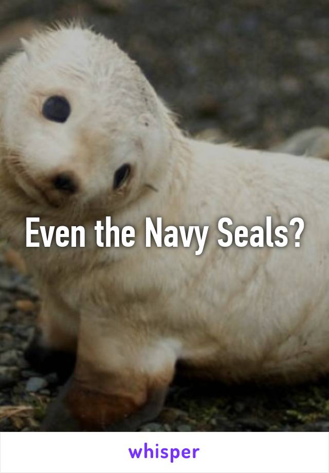 Even the Navy Seals?