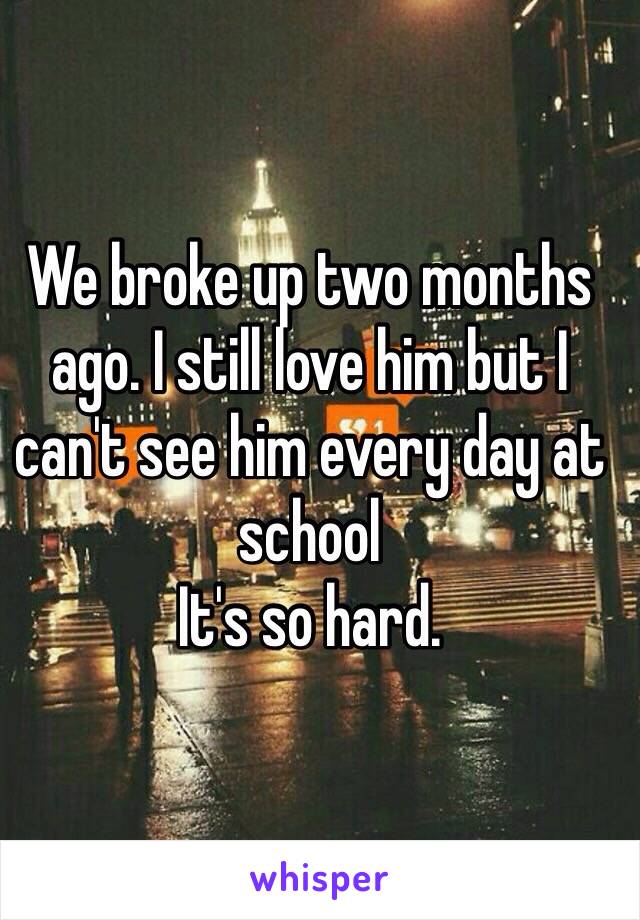 We broke up two months ago. I still love him but I can't see him every day at school
It's so hard.