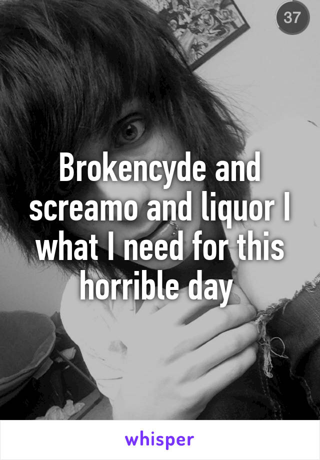 Brokencyde and screamo and liquor I what I need for this horrible day 