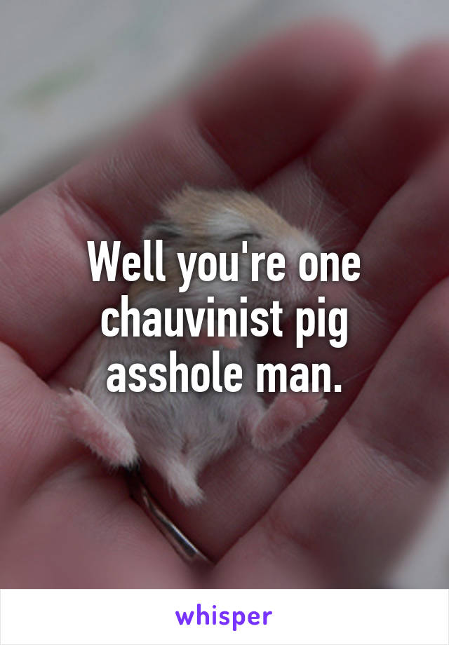 Well you're one chauvinist pig asshole man.