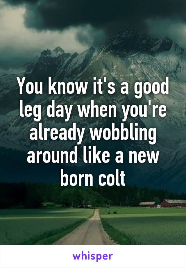 You know it's a good leg day when you're already wobbling around like a new born colt