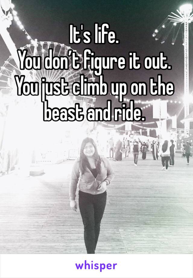 It's life. 
You don’t figure it out. 
You just climb up on the beast and ride.