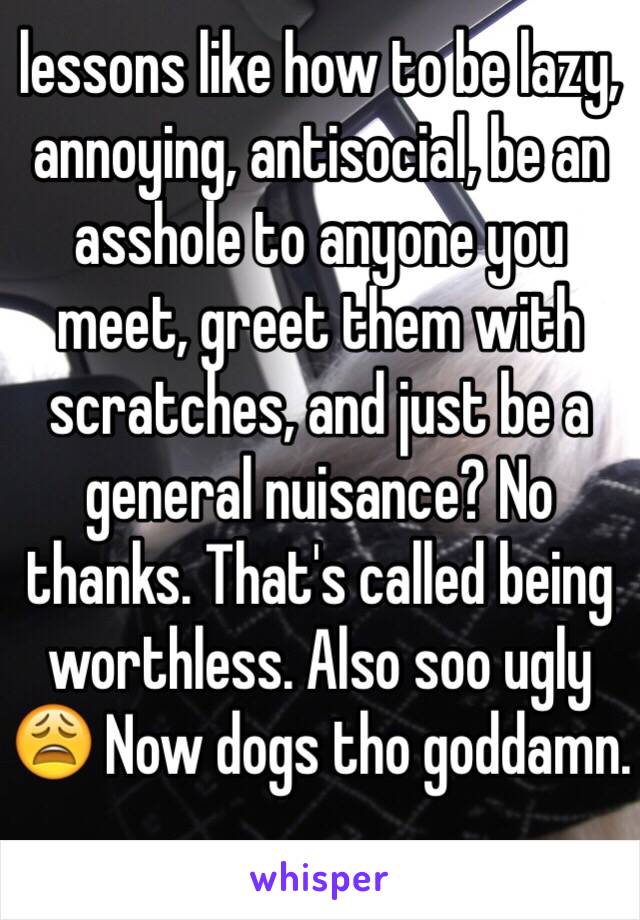 lessons like how to be lazy, annoying, antisocial, be an asshole to anyone you meet, greet them with scratches, and just be a general nuisance? No thanks. That's called being worthless. Also soo ugly 😩 Now dogs tho goddamn.