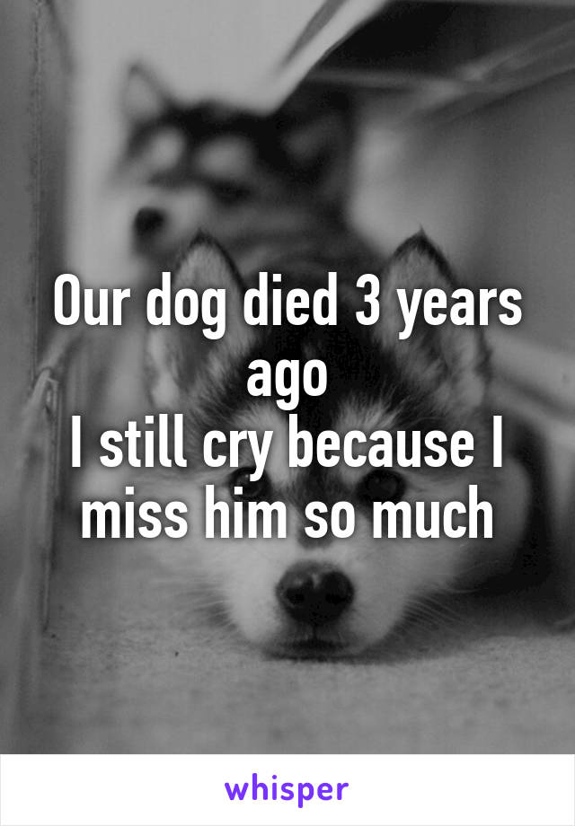 Our dog died 3 years ago
I still cry because I miss him so much