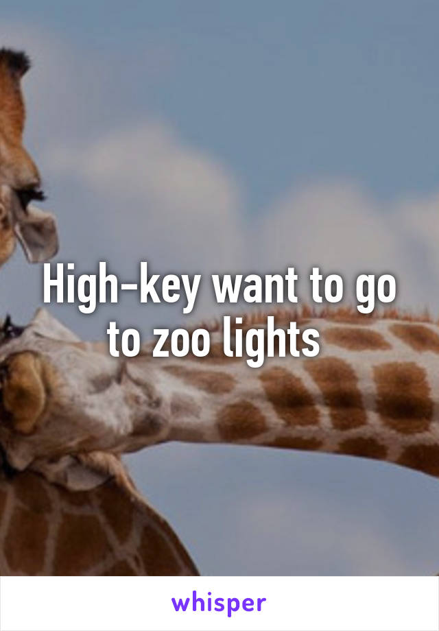 High-key want to go to zoo lights 