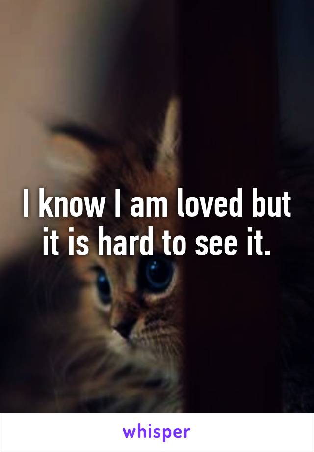 I know I am loved but it is hard to see it.