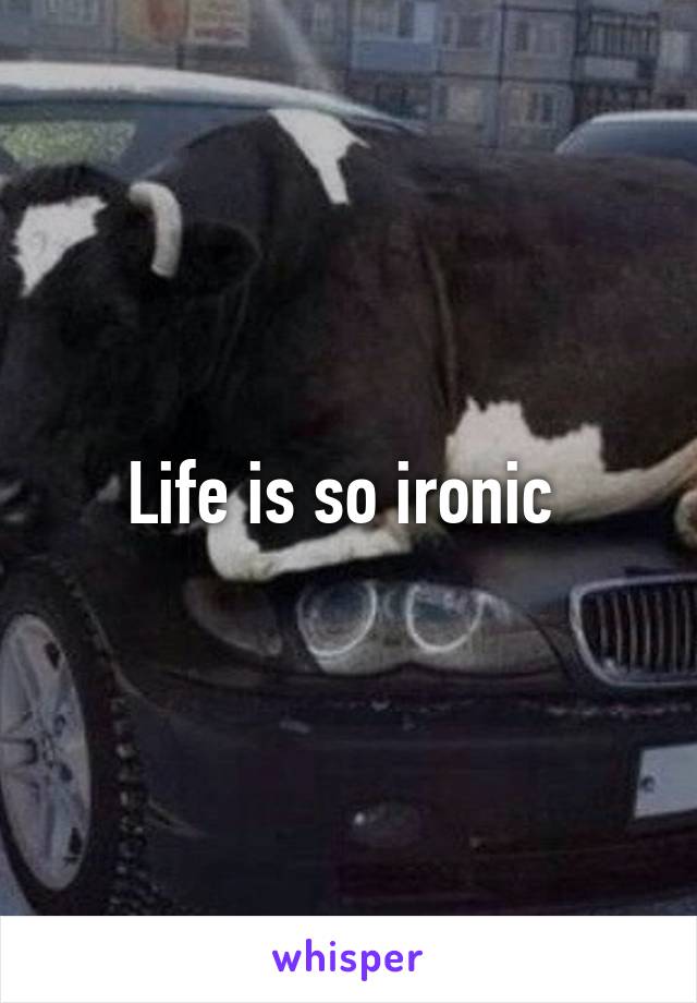 Life is so ironic 